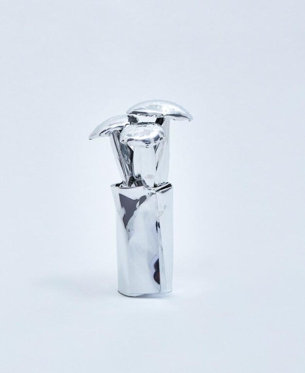 The Aluminum Garden -Structural Studies of Plants-Fly Amanita - Toshihiko Mitsuya 