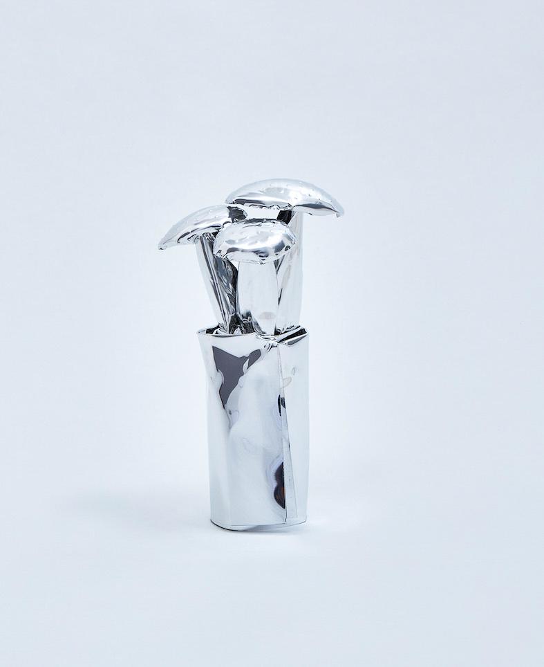 The Aluminum Garden -Structural Studies of Plants-Fly Amanita - Toshihiko Mitsuya 