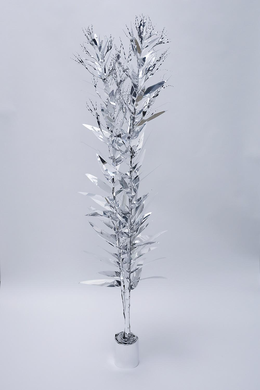 The Aluminum Garden &ndash; Structural Studies of Plants-Canadian Goldenrod/tall - Toshihiko Mitsuya 