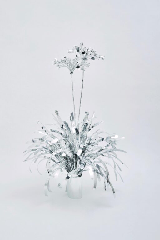 The Aluminum Garden -Structural Studies of Plants-Agapanthus - Toshihiko Mitsuya 