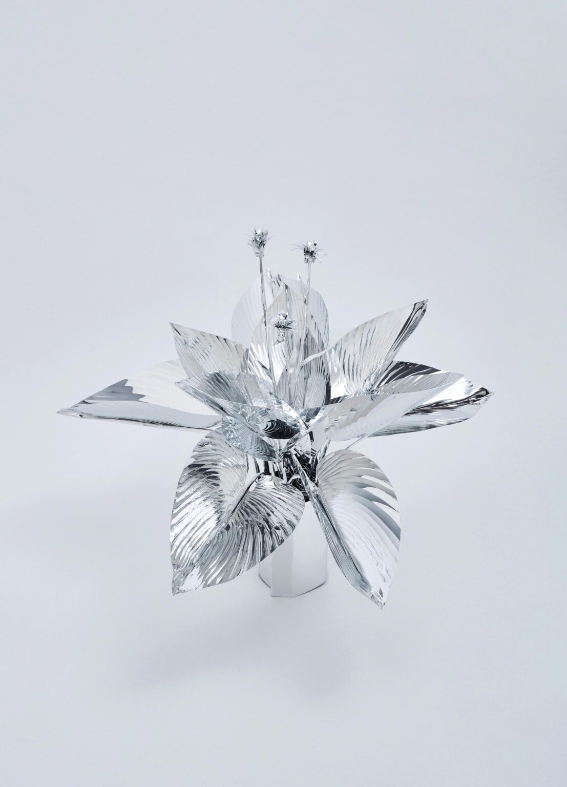 The Aluminum Garden -Structural Studies of Plants-Plantain Lilies - Toshihiko Mitsuya 