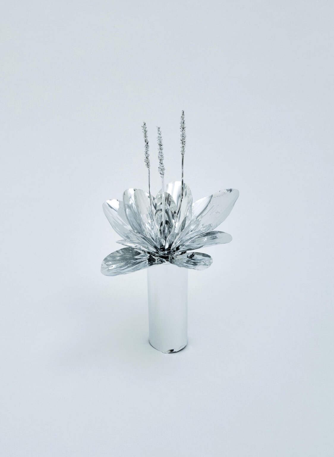 The Aluminum Garden -Structural Studies of Plants-Plantago - Toshihiko Mitsuya 