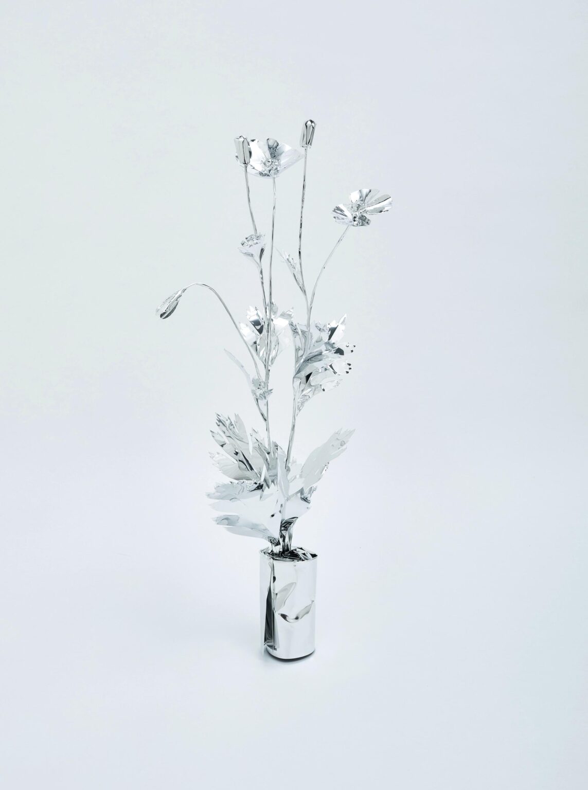The Aluminum Garden -Structural Studies of Plants-Poppy - Toshihiko Mitsuya 