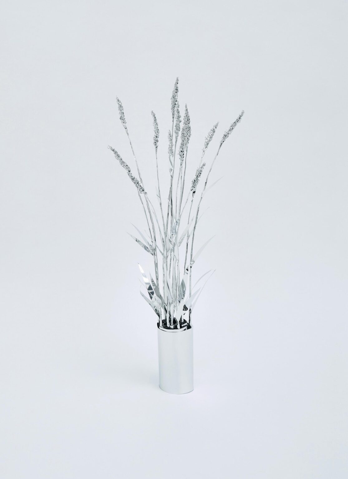 The Aluminum Garden -Structural Studies of Plants-Foxtail - Toshihiko Mitsuya 