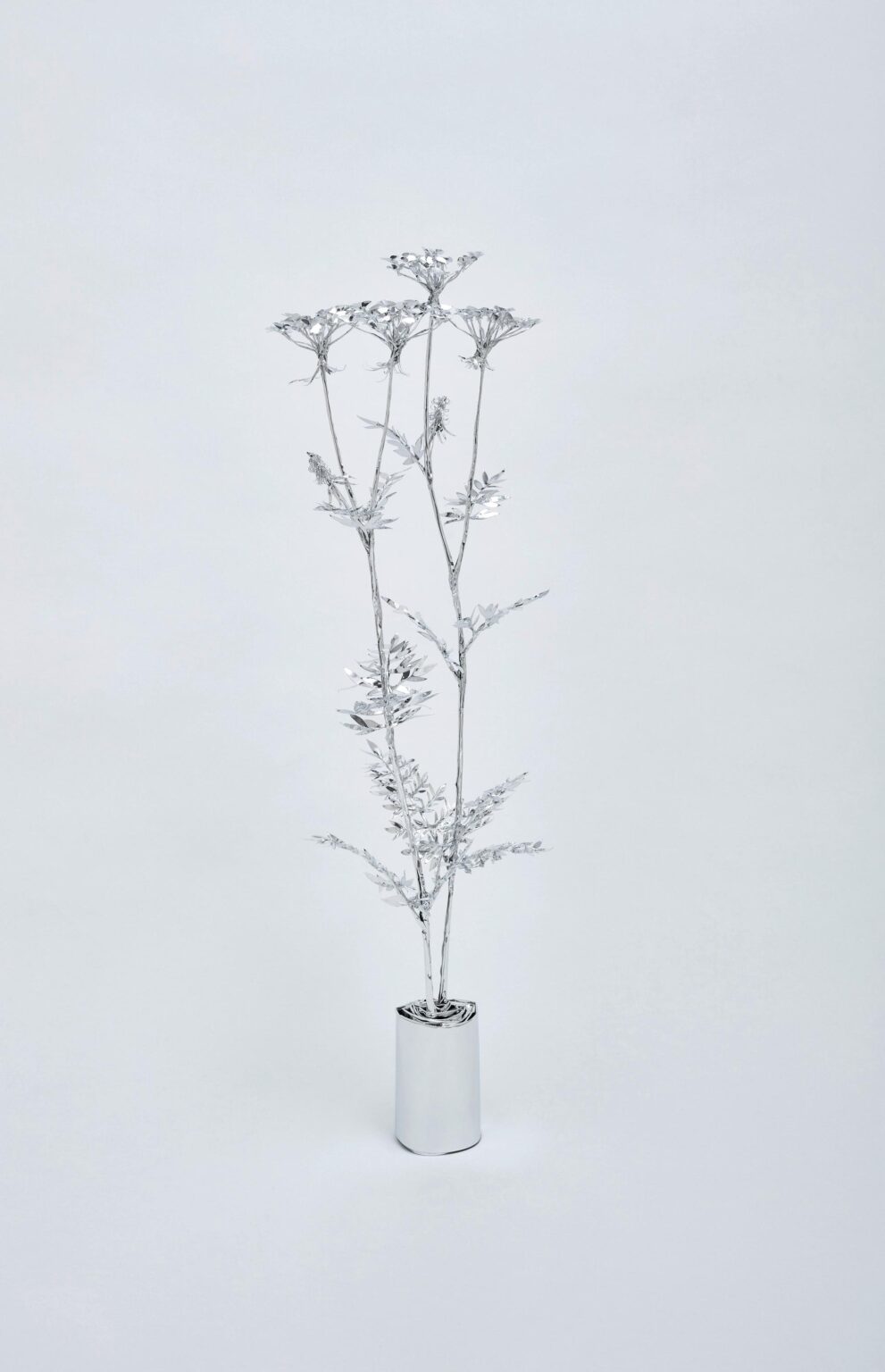 The Aluminum Garden -Structural Studies of Plants-Hemlock - Toshihiko Mitsuya 