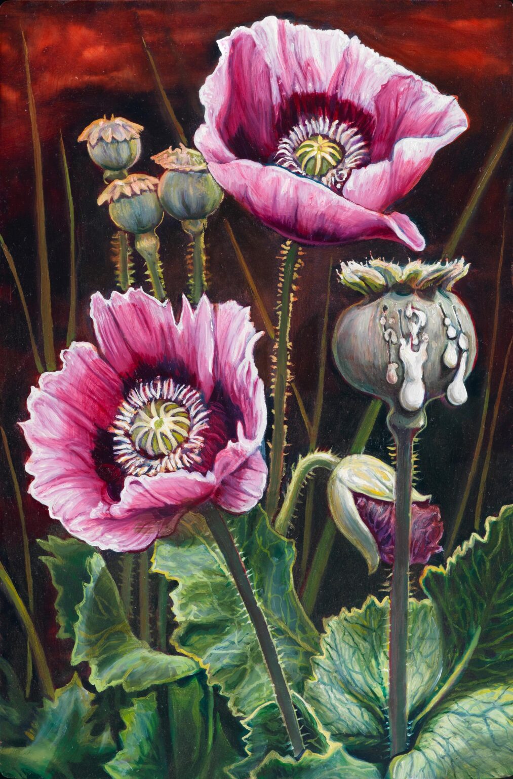 Opium - Dimitris Tzamouranis Lea Gryze