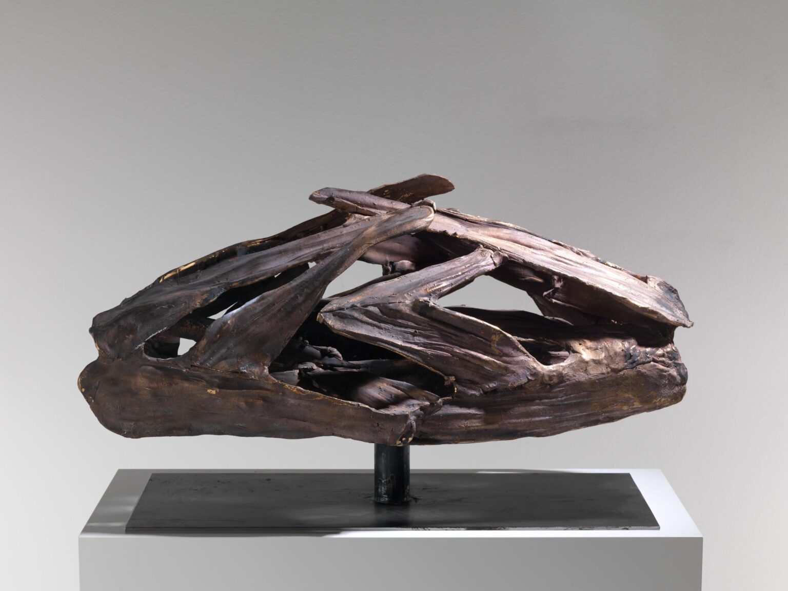 Bolide - Emil Cimiotti Lea Gryze