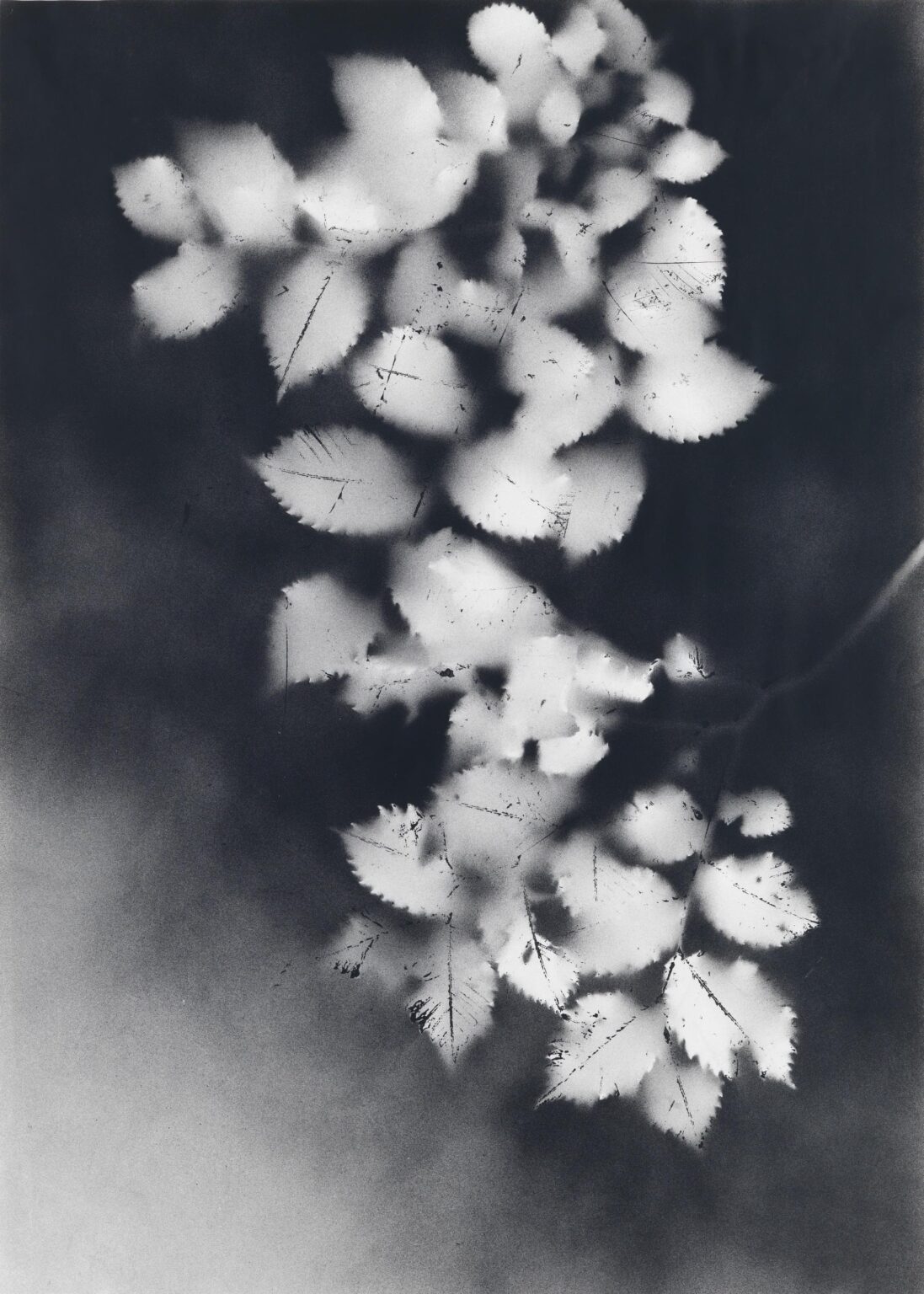 Ohne Titel - Jakob Mattner Lea Gryze