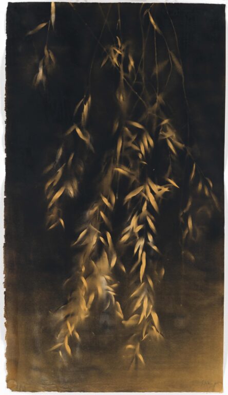 Daphne I - Jakob Mattner Lea Gryze