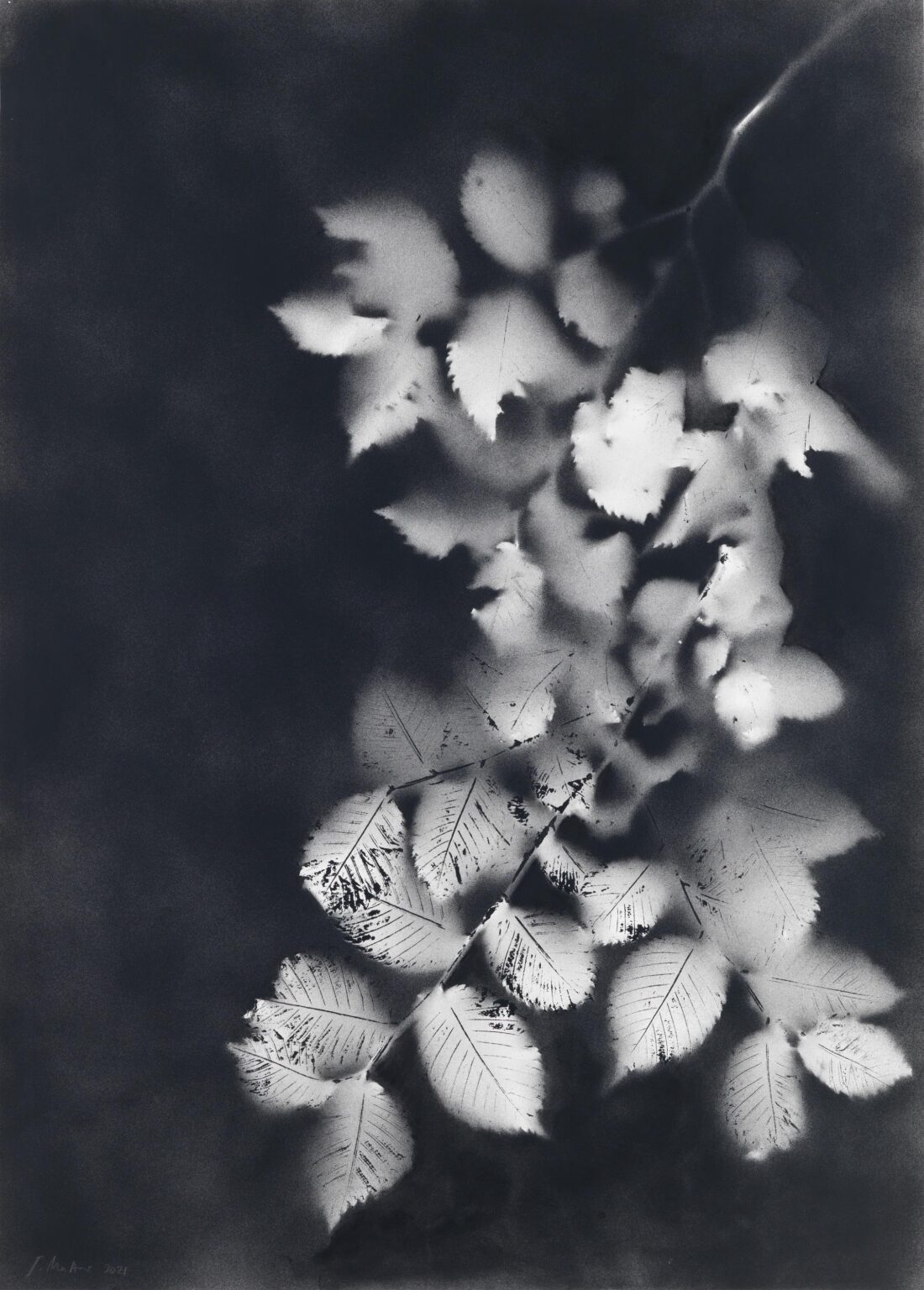 Ohne Titel - Jakob Mattner Lea Gryze