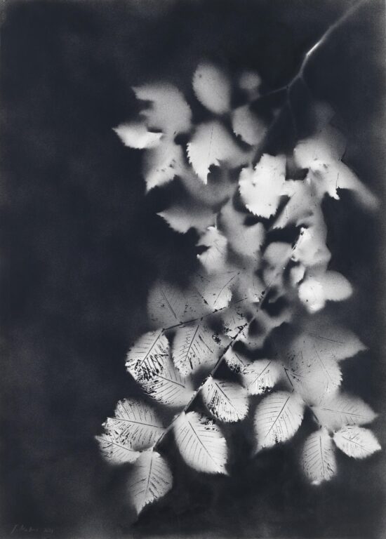 Ohne Titel - Jakob Mattner Lea Gryze