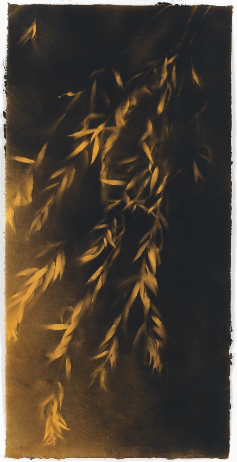 Daphne II - Jakob Mattner Lea Gryze