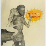 Cordia Schlegelmilch