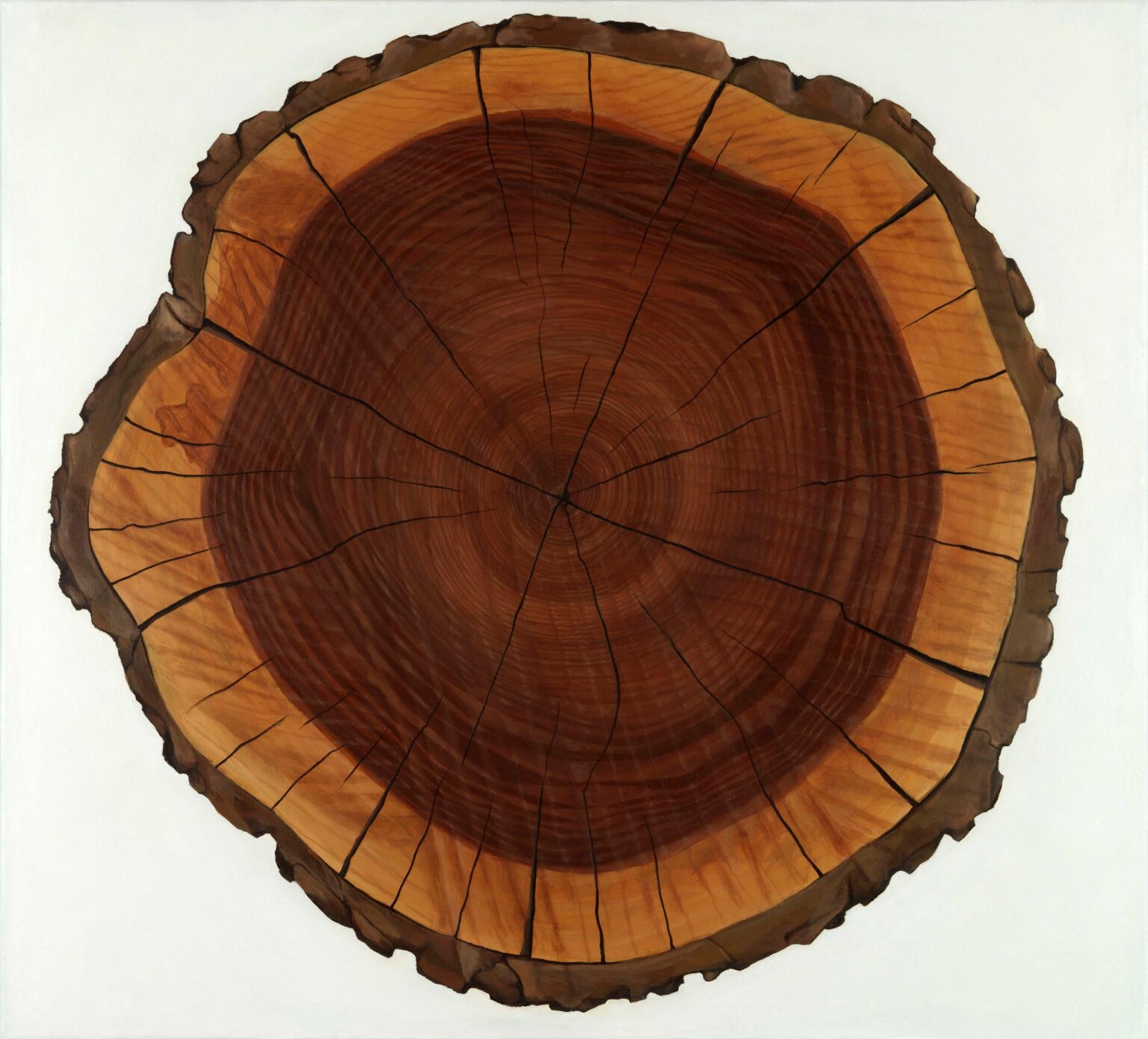 Baumscheibe - Ren&eacute; Wirths Lea Gryze, Ekta-Hinweis: Tiff, Import: jpg, file size: high resolution (4256 x 4702 px)