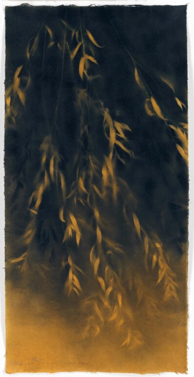 Daphne III - Jakob Mattner Lea Gryze