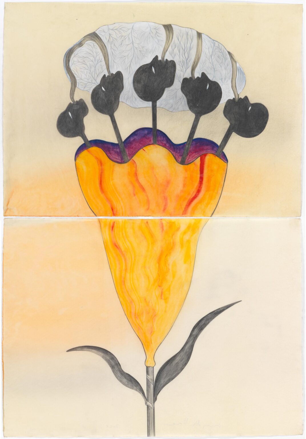 Botánica de la Evolución - Sandra V&aacute;squez de la Horra Lea Gryze