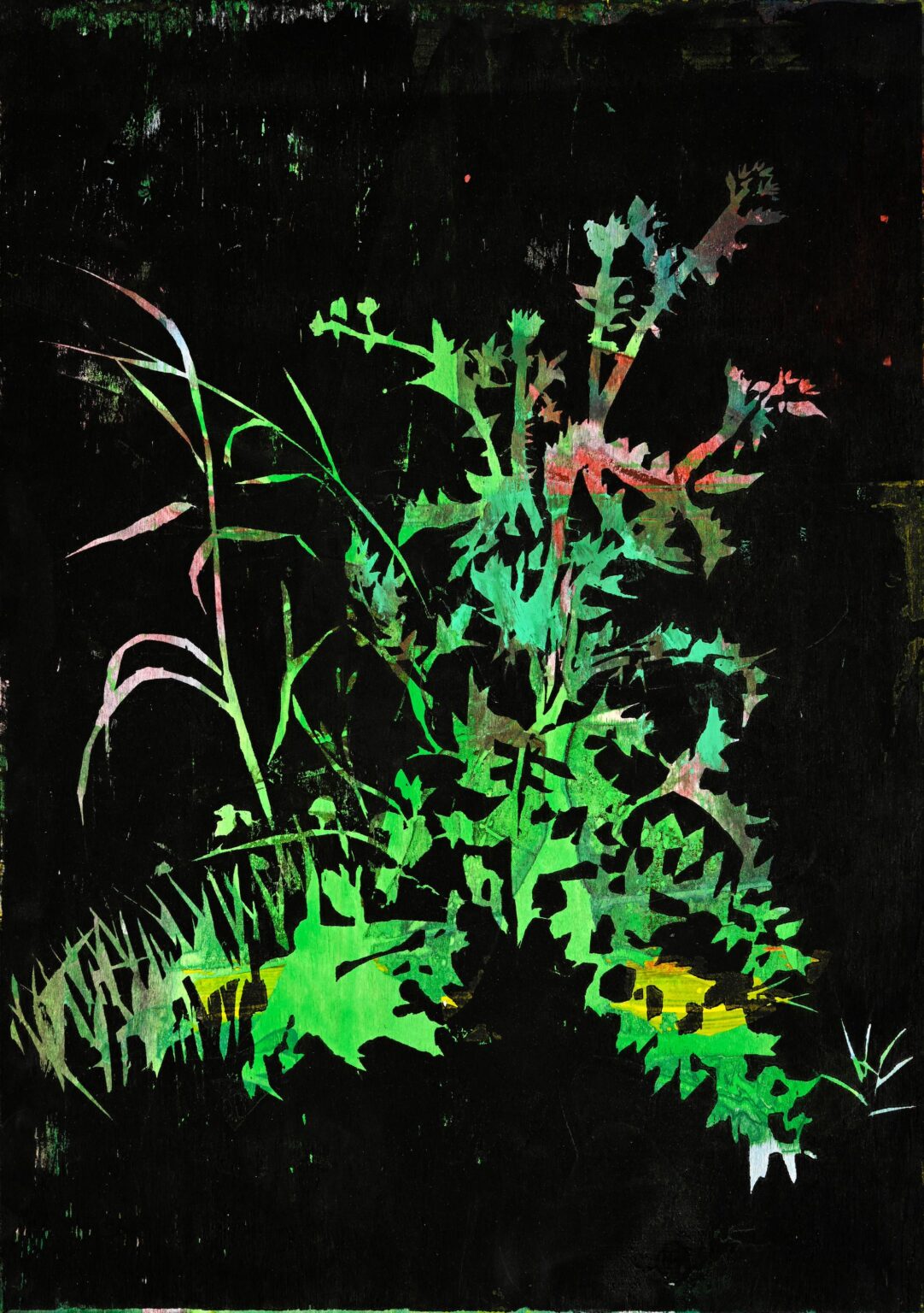 Many Manet - Nicole Bianchet Nichole Bianchet