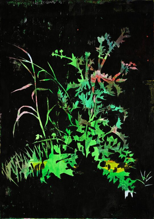 Many Manet - Nicole Bianchet Nichole Bianchet