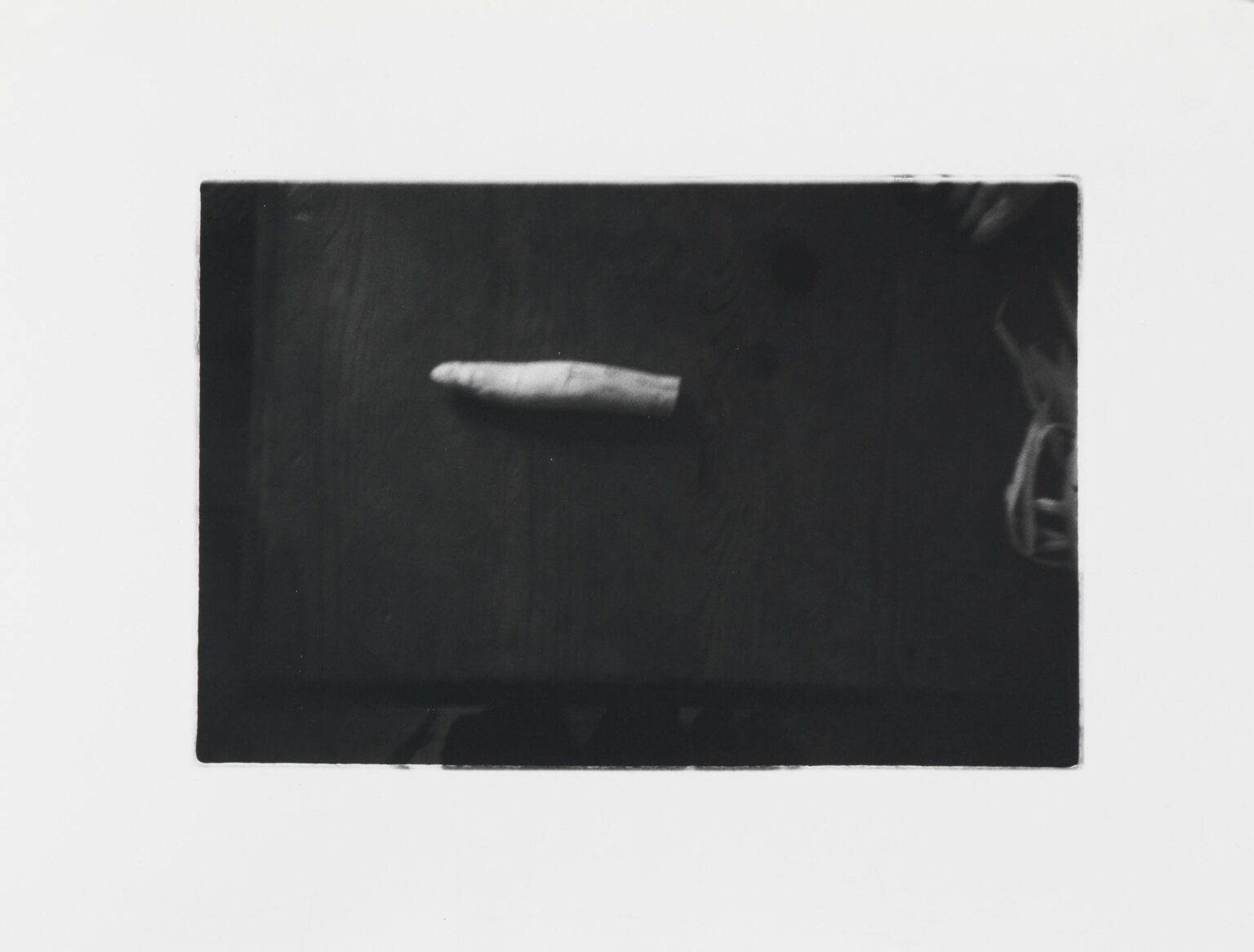 Spargel - Andrea Baumgartl Lea Gryze