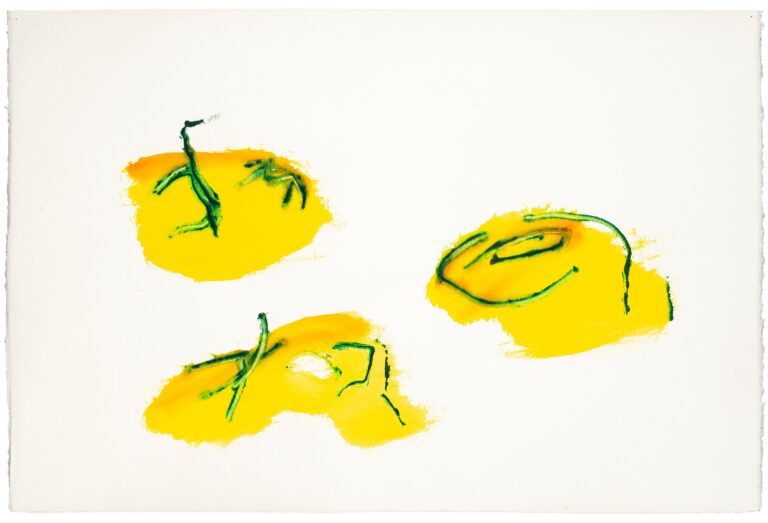 Ohne Titel - Henri Michaux Jean-Louis Losi, Paris