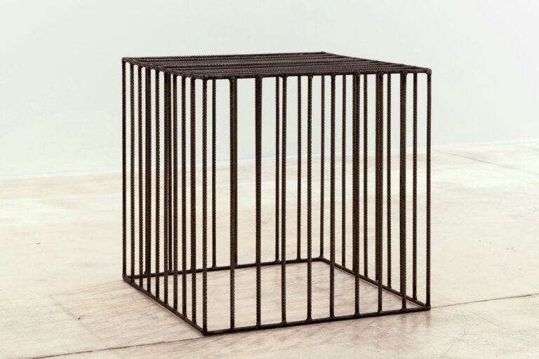 Wild Cube - Lois Weinberger 