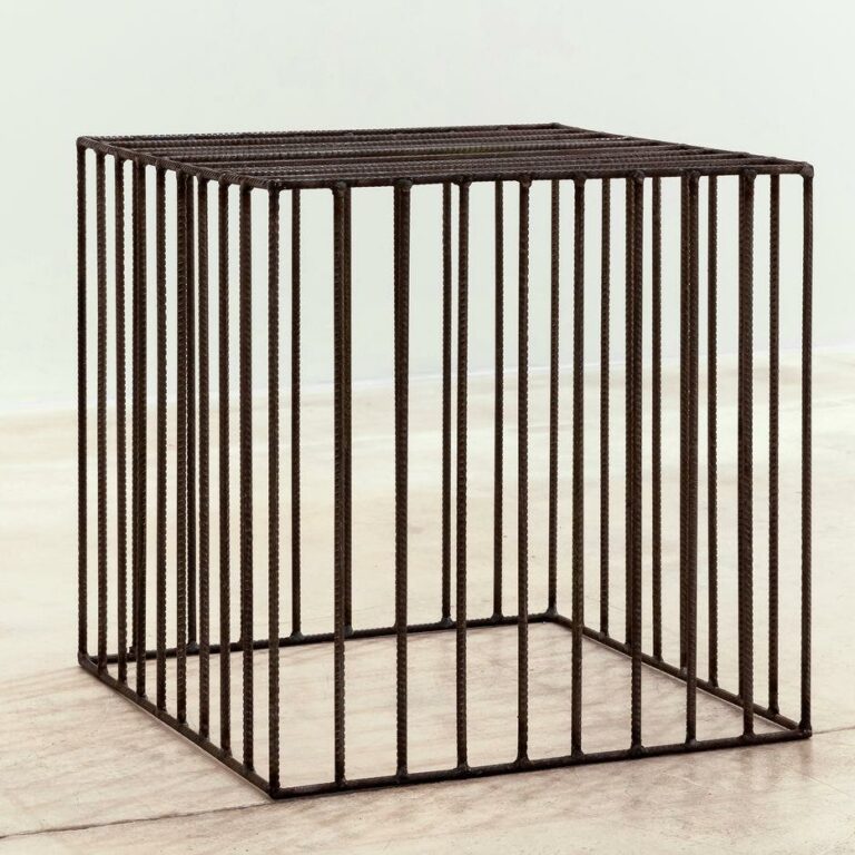 Wild Cube - Lois Weinberger 