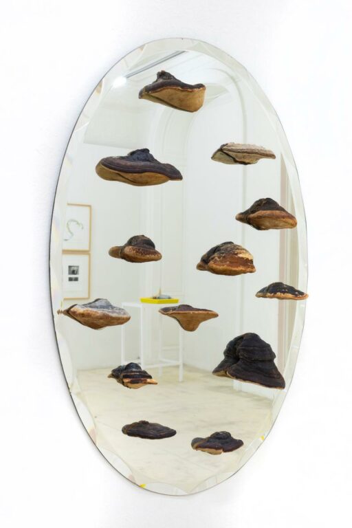 Untitled - Lois Weinberger 