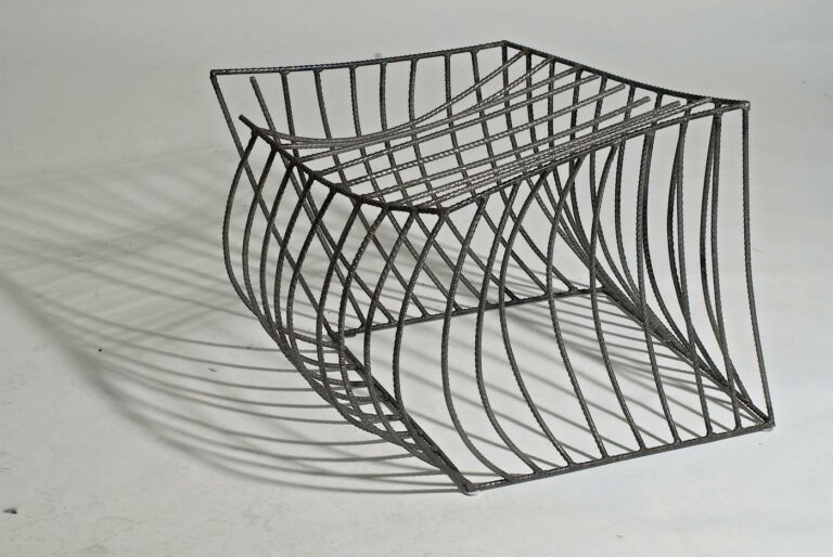 Wild Cube (Destroyed) - Lois Weinberger 