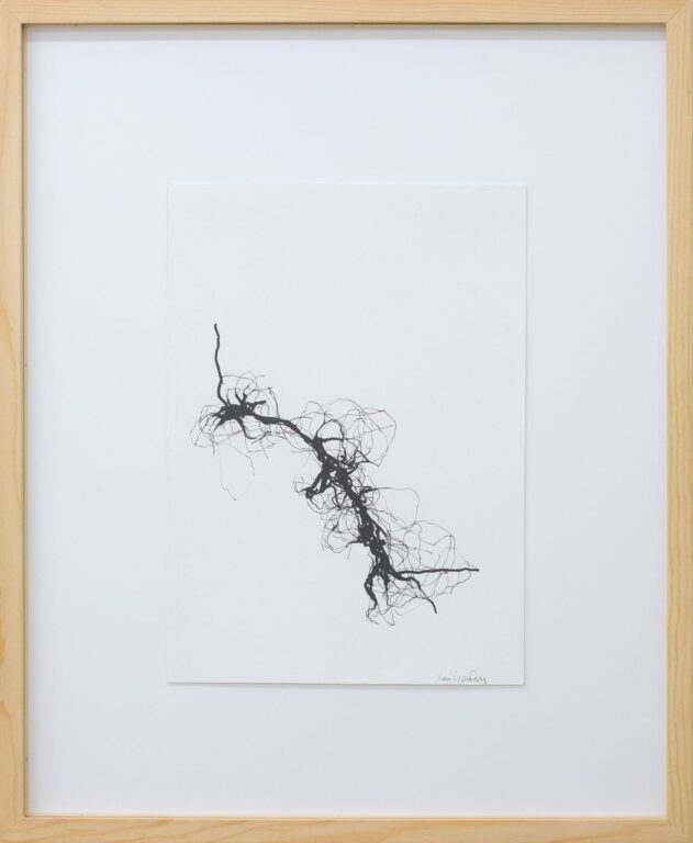 Roots - Lois Weinberger 