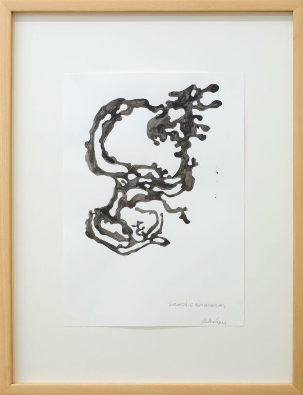 Subversive Raumeroberung - Lois Weinberger 