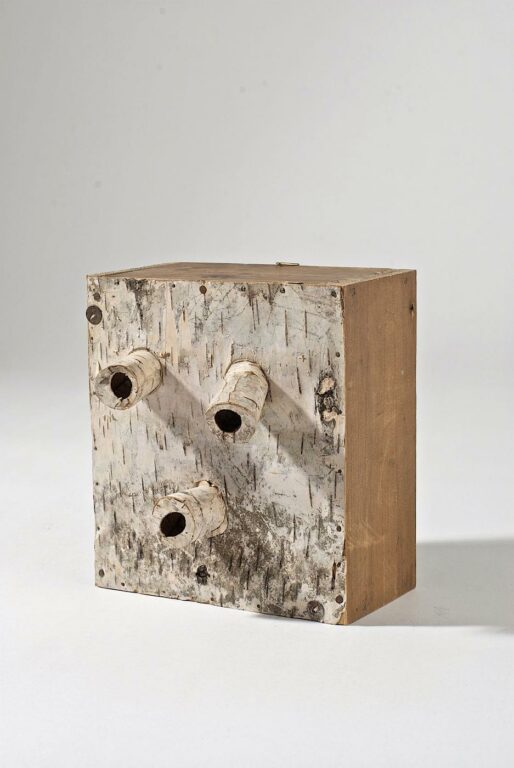 Maske - Lois Weinberger 