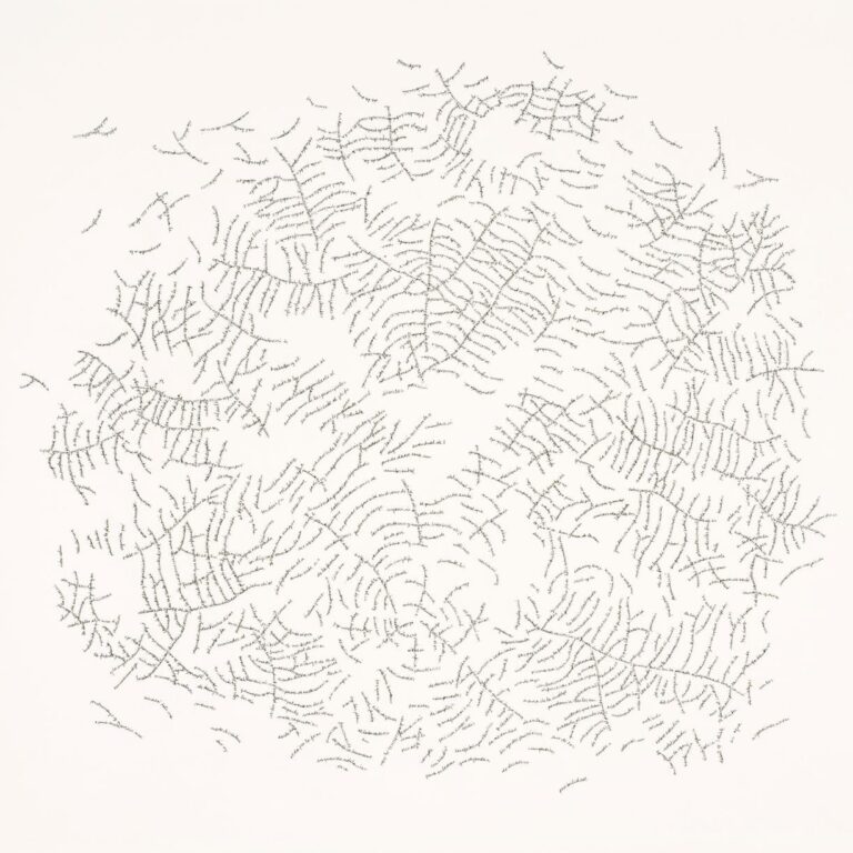 Hoja Rota - Johanna Calle 