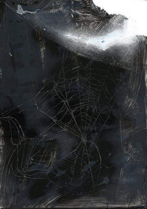 Ohne Titel (aus der Serie Spinnwebenbilder) - Christian Eisenberger 