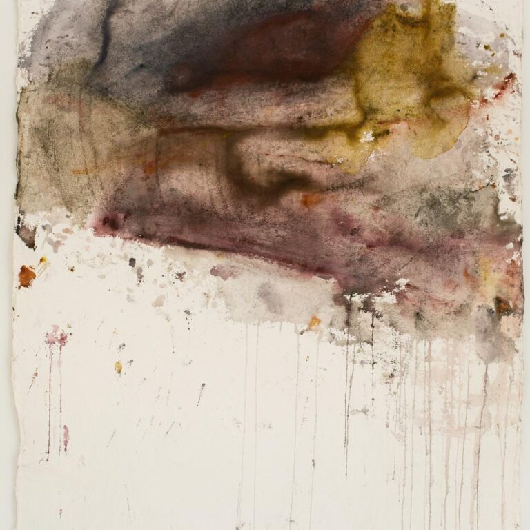 Ohne Titel (aus der Serie Aridane) - Martha Jungwirth 