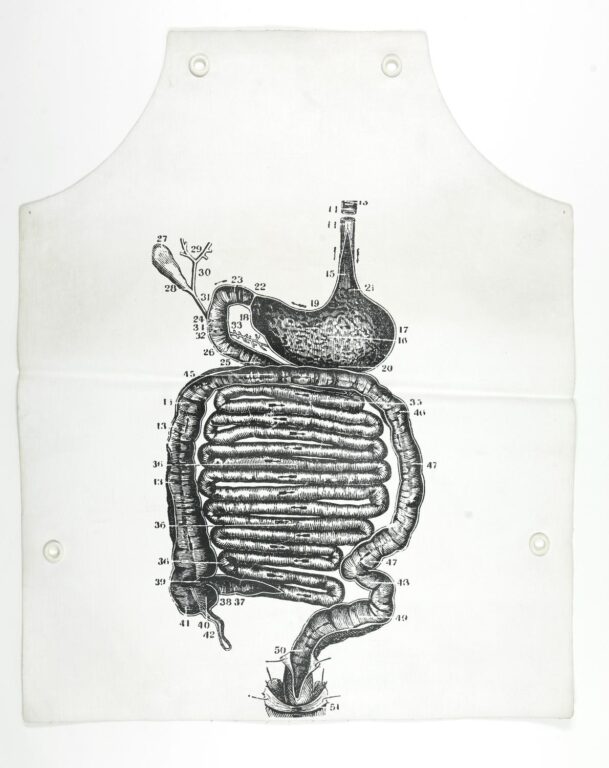 Intestinal Design Apron - George Maciunas 