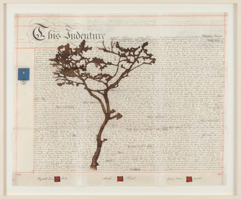 Indenture II - Johanna Calle 