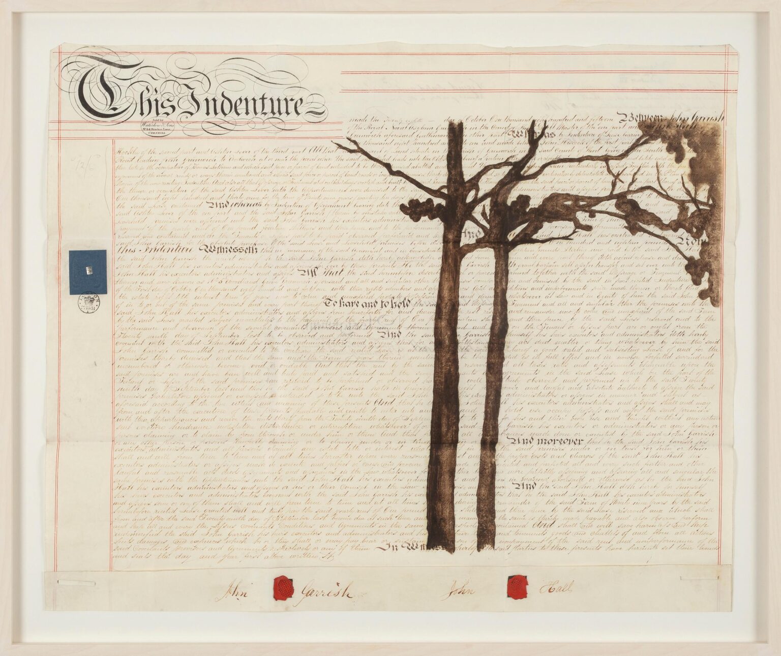 Indenture VII - Johanna Calle 