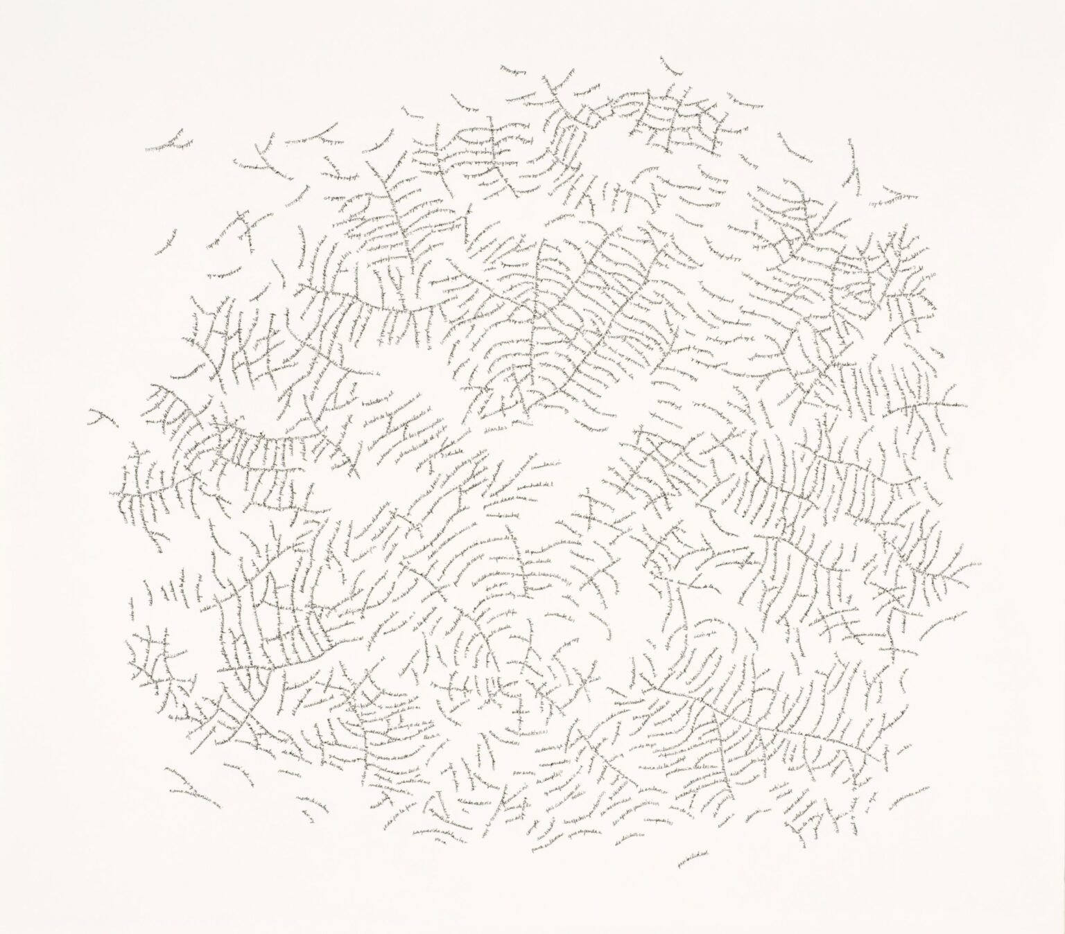 Hoja Rota - Johanna Calle 