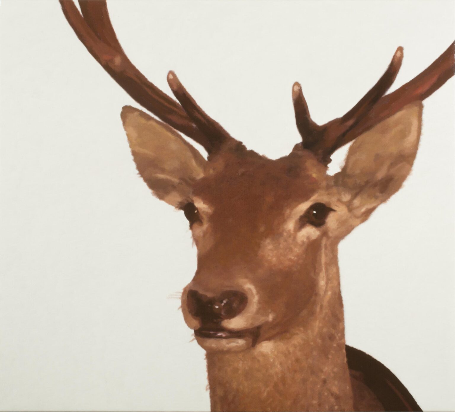 I had dinner deer in Salzburg (Lisbon) - Luis Paulo Costa 