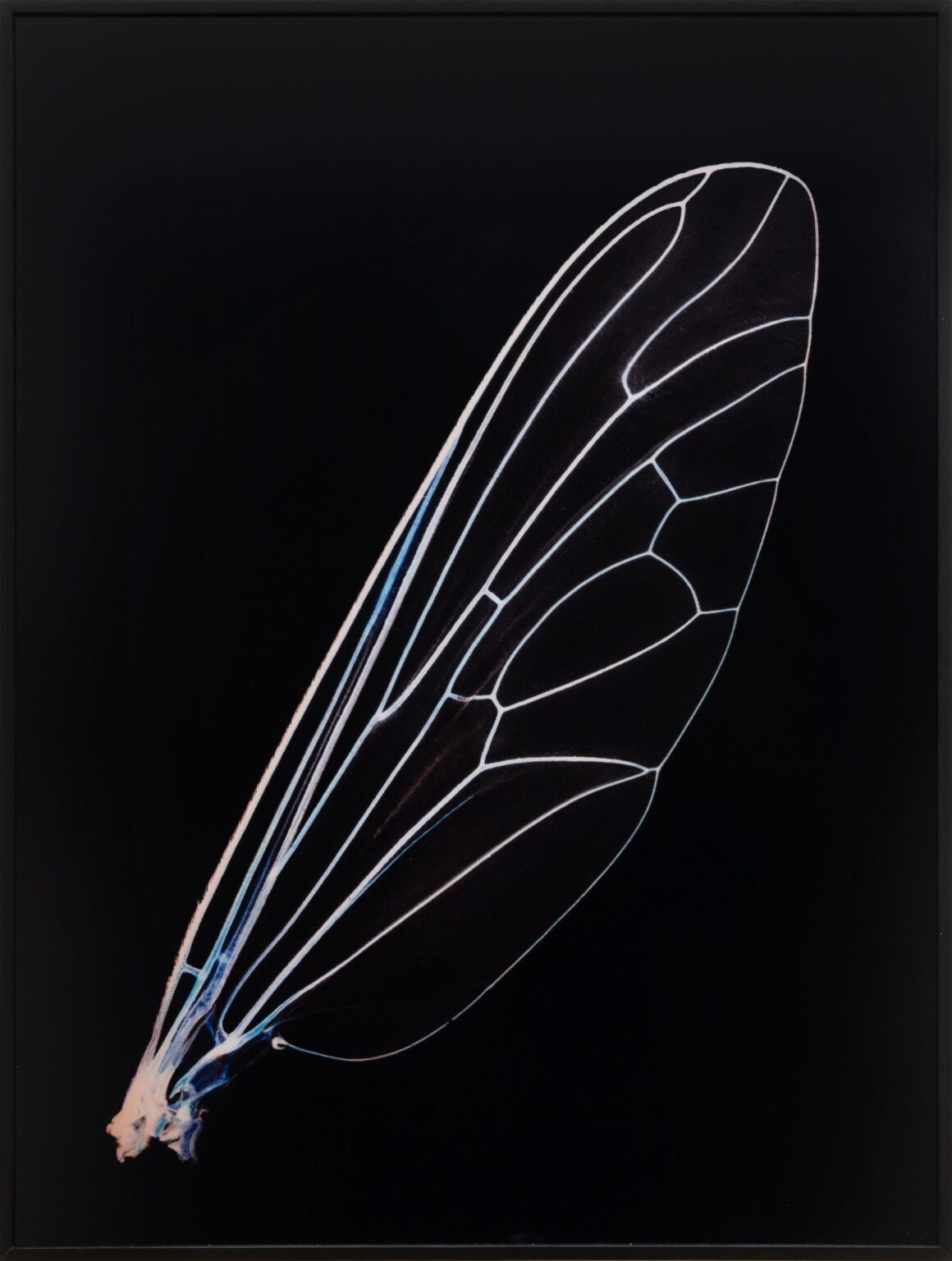 Learning To Fly #1 - Angelika Krinzinger 