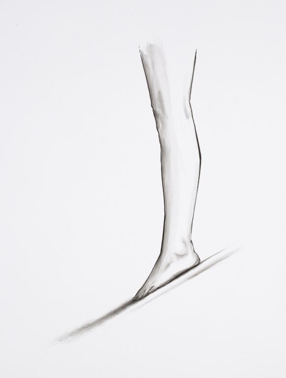 o.T. - Ulrike Lienbacher 