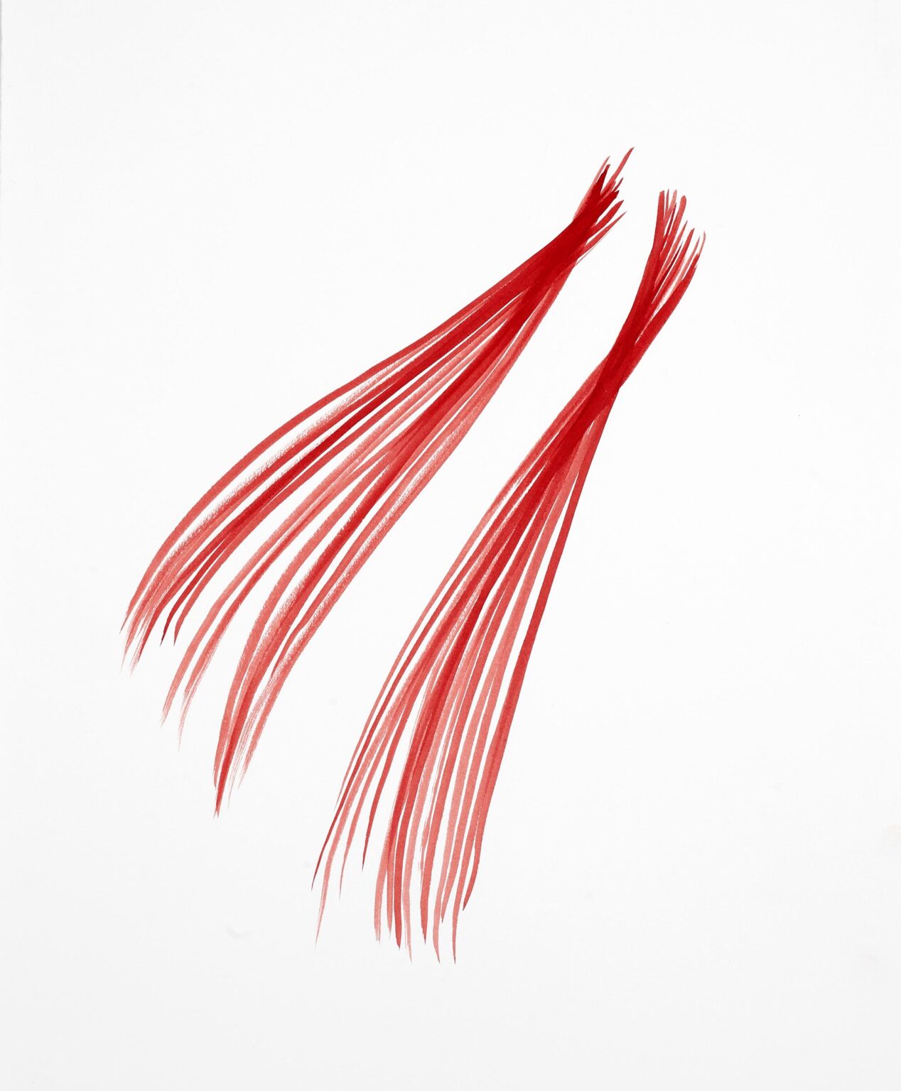 o.T. - Ulrike Lienbacher 