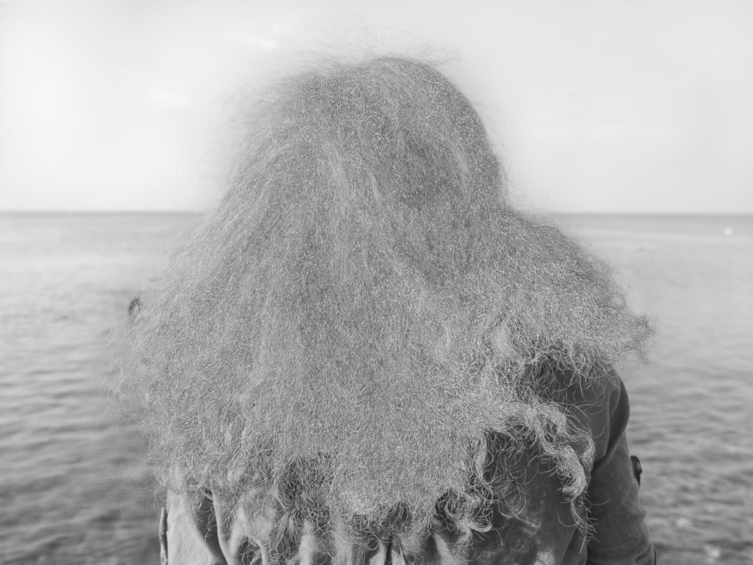 Back of Lucia’s head - William Mackrell 
