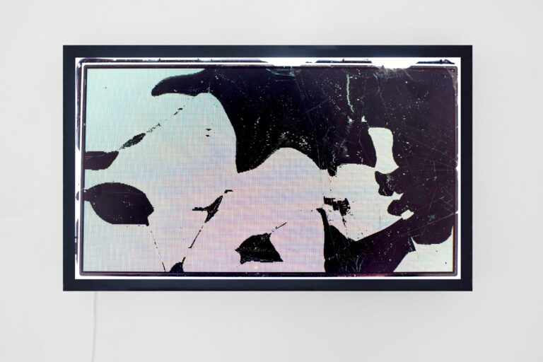 Liquid Crystal (a) - Bernd Oppl 