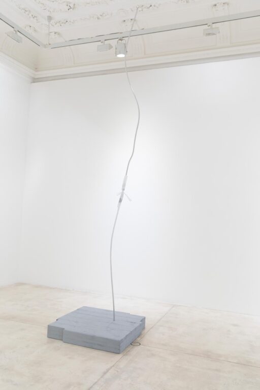 Pole - Martin Walde 