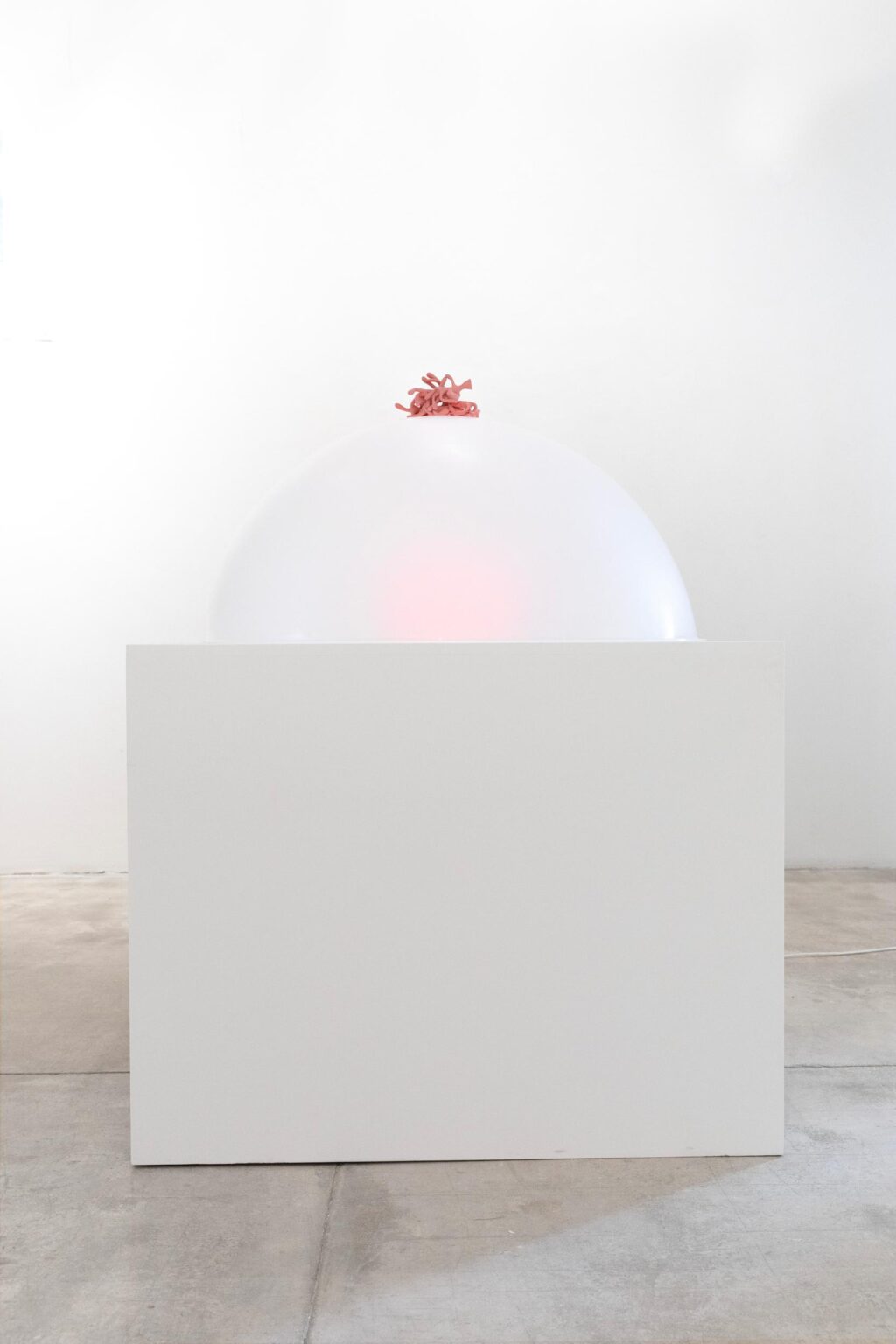P.P. Concoction - Martin Walde 