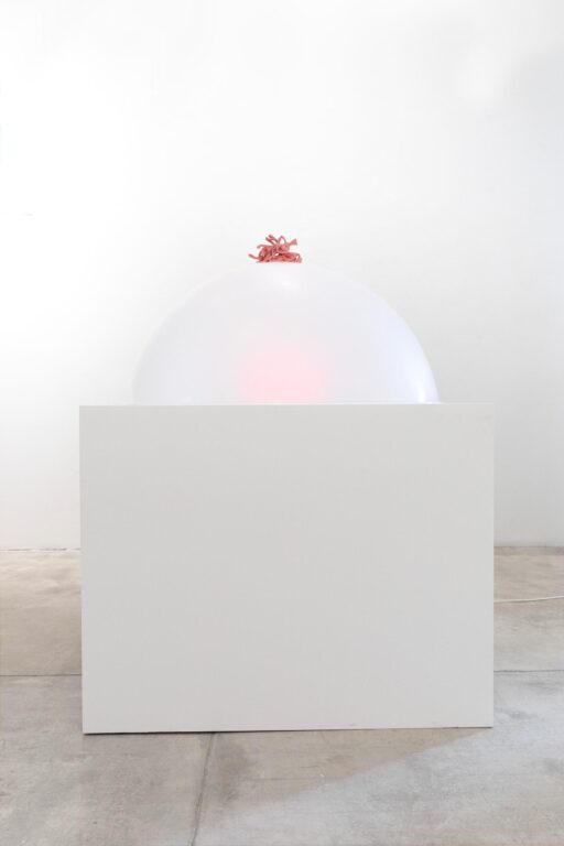 P.P. Concoction - Martin Walde 
