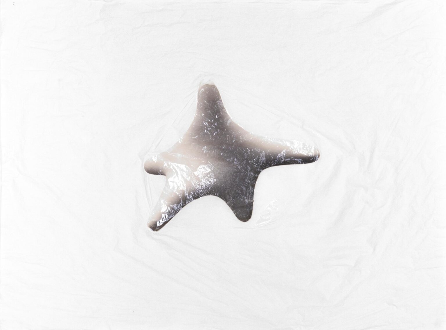 CHROM - Martin Walde 