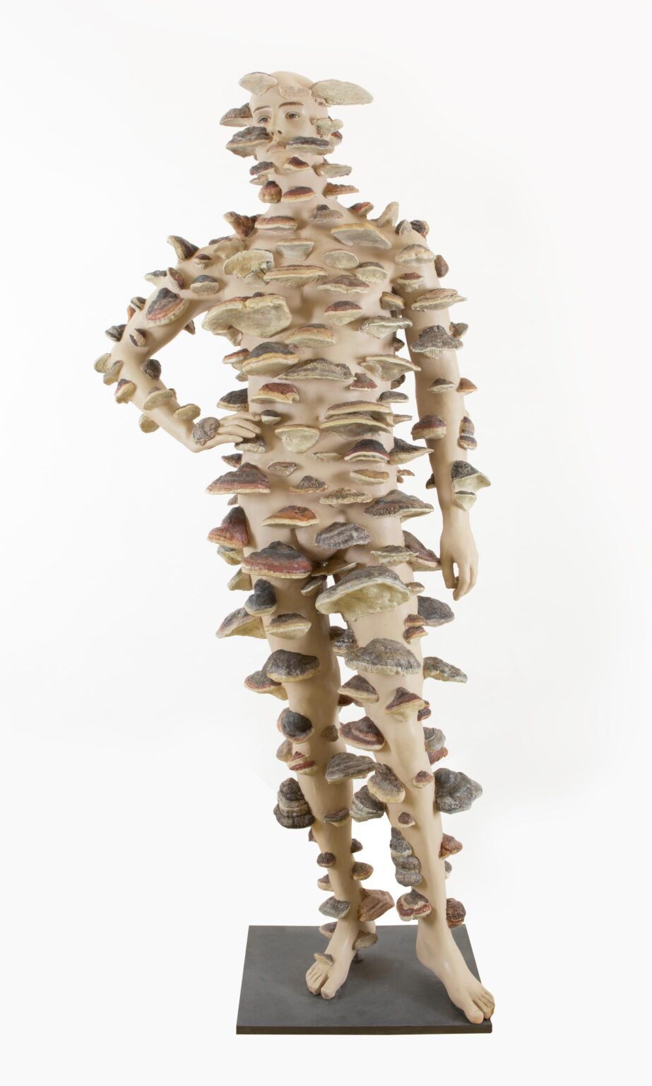 Invasion - Lois Weinberger 