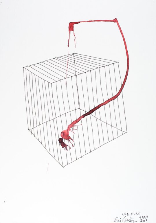 Wild Cube - Lois Weinberger 